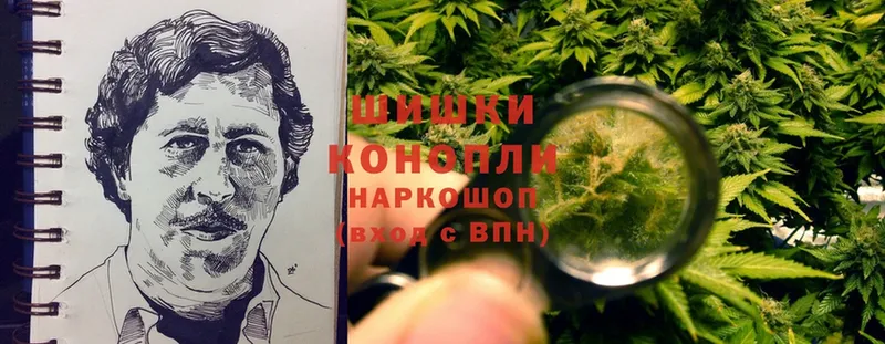 наркотики  Кудымкар  Бошки Шишки OG Kush 